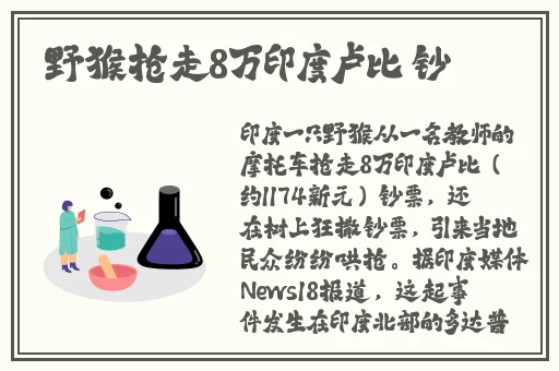 小草免费观看在线播放
